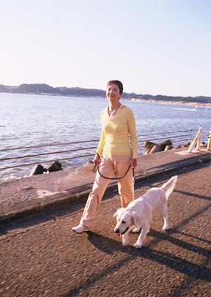 2025年最新！秦野で評判の動物病院トップガイド?選び方と安心のポイント